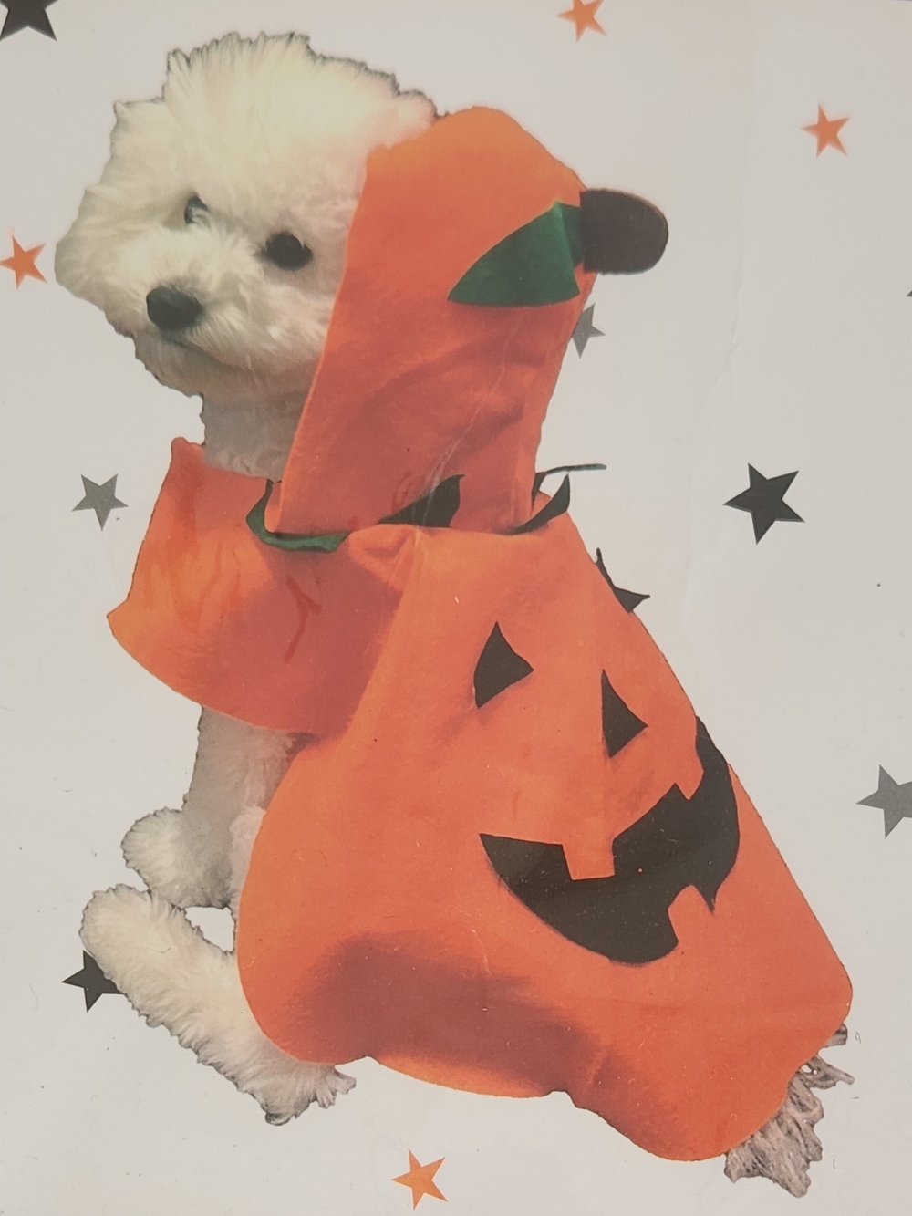 Pumpkin Dog Halloween Costume - Orange Hooded Jack-O'-Lantern S/M